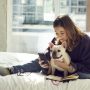 How to find dog friendly hotels in vail